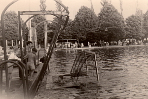 Senftenberg